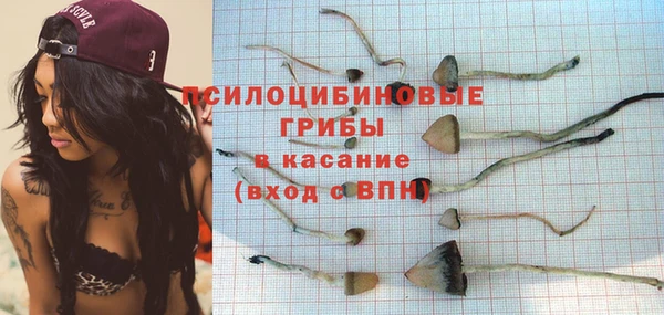 кокс Болхов