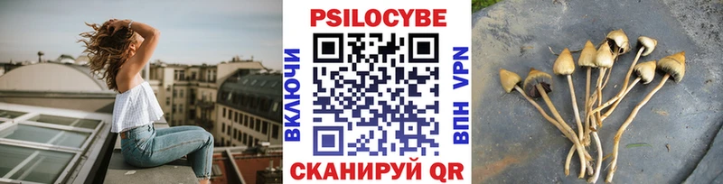 Галлюциногенные грибы мицелий цена Муром